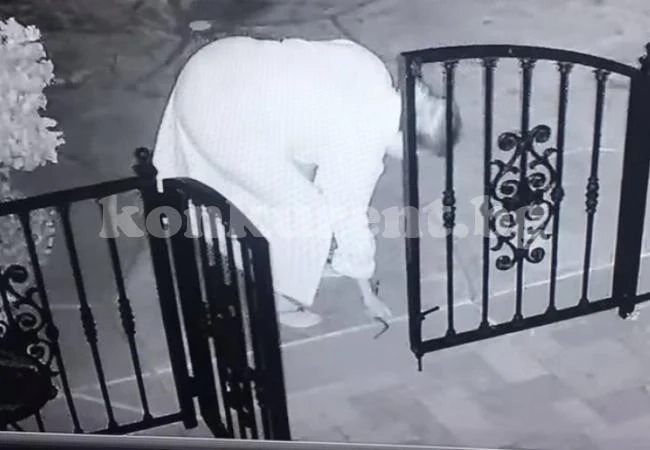 В тъмното: Домакиня обърка змия с играчка, но го разбра твърде късно и... (ВИДЕО)