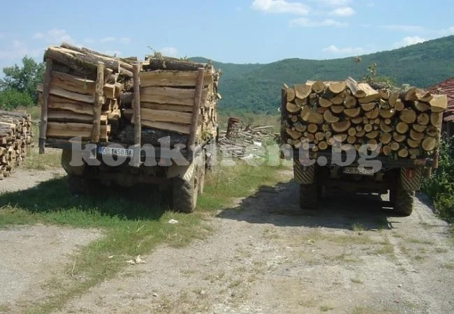 Бракониери изнасят дървесина през Дунава