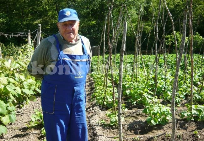 В Долни Чифлик и днес почитат Симо Първулов