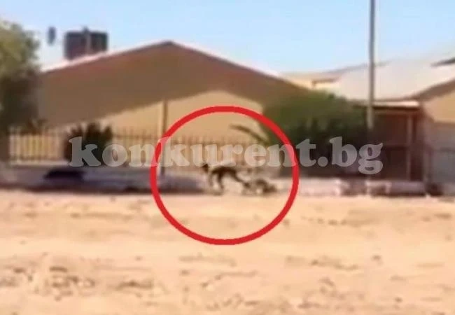 Млад мъж се превърна в куче - ходи на четири крака и лае непознати (ВИДЕО)