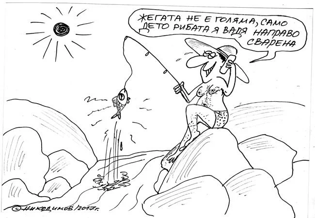 Жега