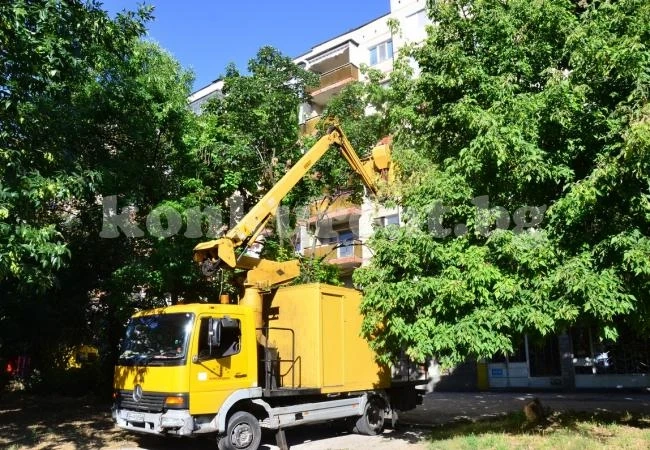 Пръскат срещу гъсеници във Видин