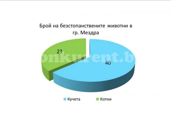 418 са безстопанствените животни в община Мездра