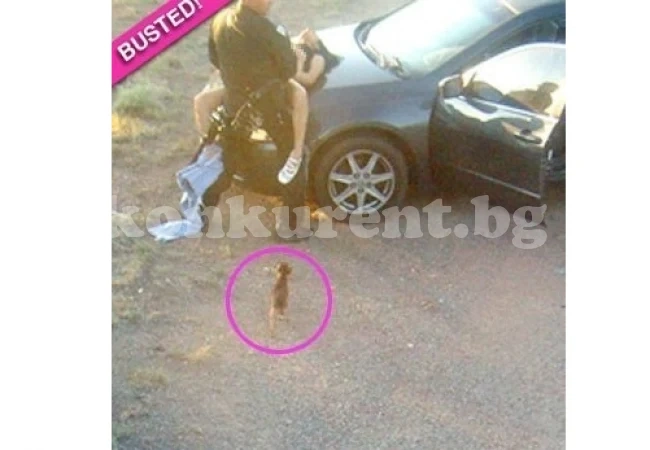 Само един ням свидетел видя как ченге прави секс с брюнетка върху капака на патрулка, но униформеният бе уволнен