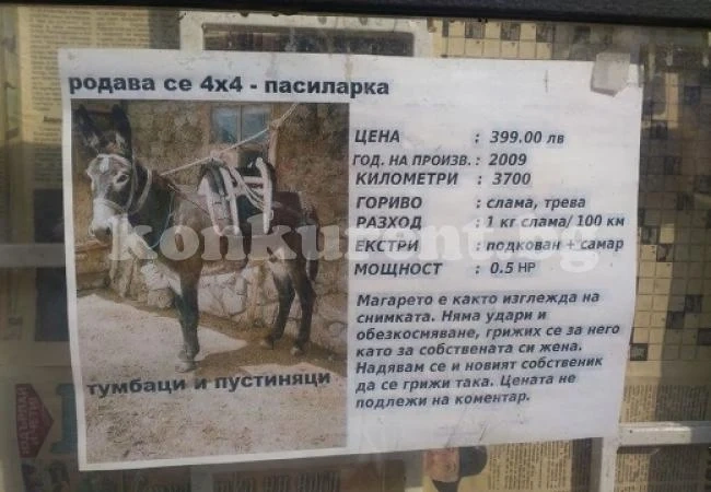 Нашенец пусна обява, че си продава магарето, мрежата се превива от смях