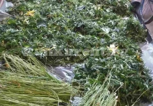 Вижте супермодерната нарколаборатория на братята Вълчан и Атанас (Снимки)