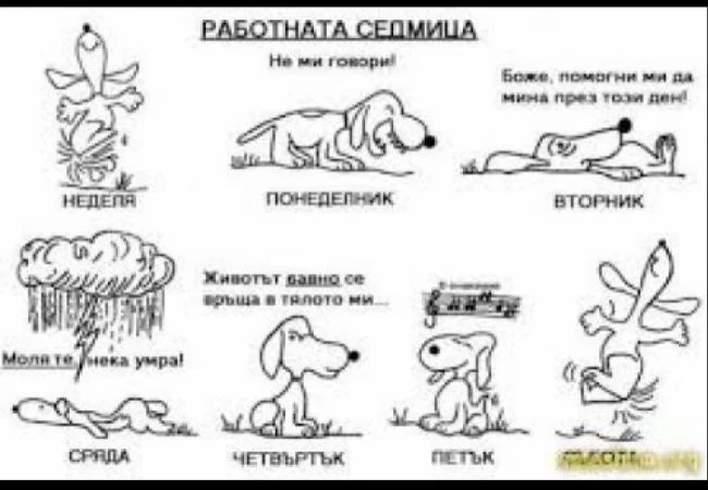 Защо никога не бива да връщате пари във вторник, не пътувайте в сряда, а в събота... 
