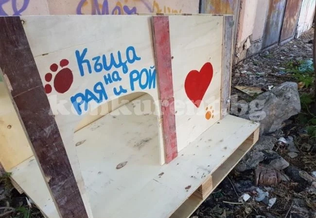 Две жени решиха да построят нещо хубаво в квартала си, но на какво ги направиха...