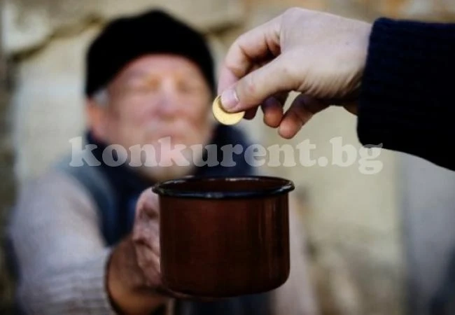 Просяци вместо берачи на боровинки станали мъже от с. Баница