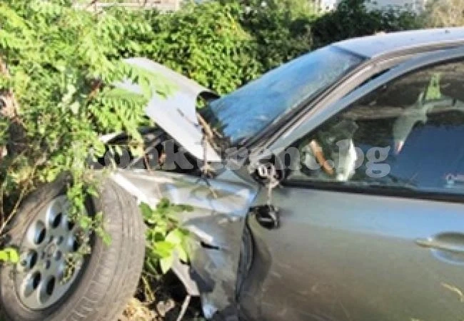 Паднало дърво рани шофьор