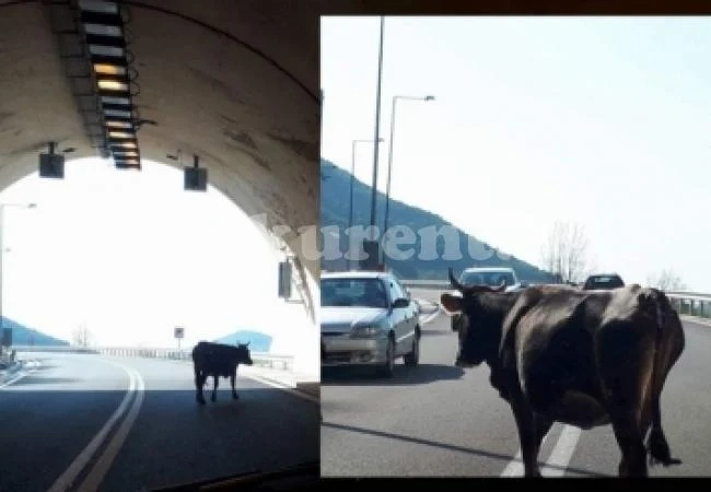 Заради жегата, нова опасност дебне шофьорите по пътищата! Внимавайте в тунелите, защото...