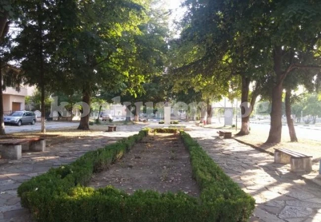 Отново изкорениха красиви растения в Мездра