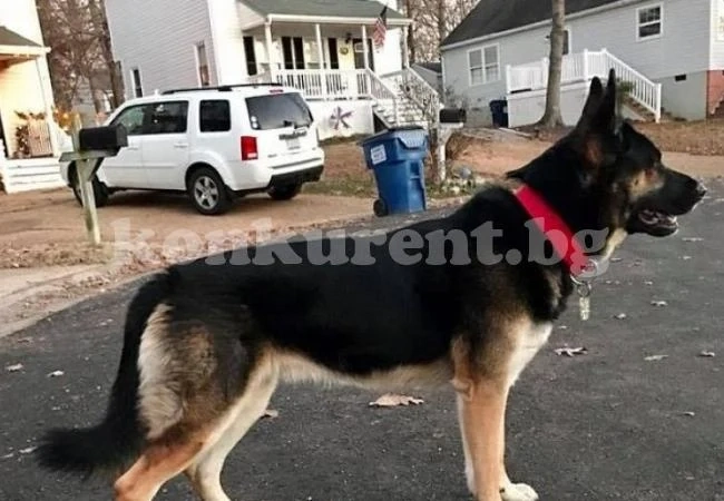 Семейство се прибра в къщата си и завари неочаквана и смразяваща гледка (СНИМКИ/ВИДЕО)