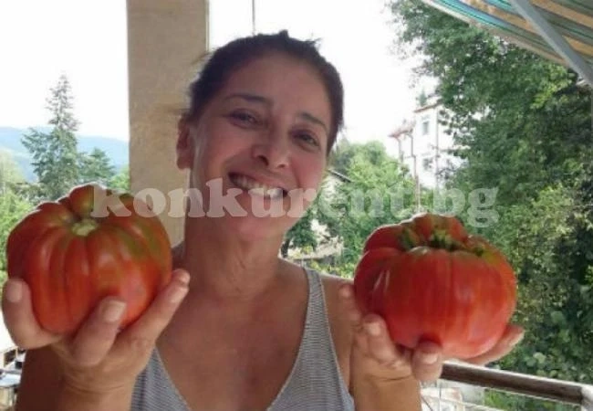 Няма да повярвате какво прави Катето Евро, вместо да палува на плажа с някой младок