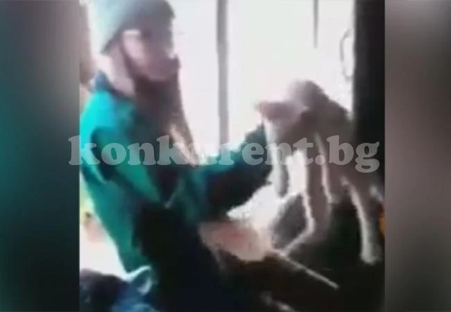 Жестоки ученички убиха зверски котка и излъчиха екзекуцията в мрежата (ВИДЕО)