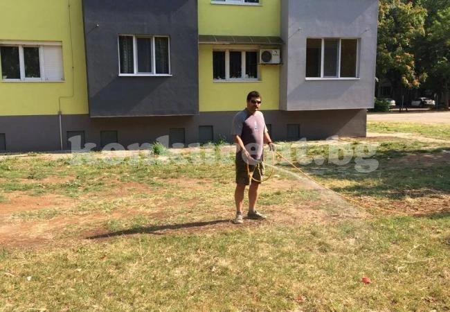 Започна третото пръскане на тревните площи във Враца