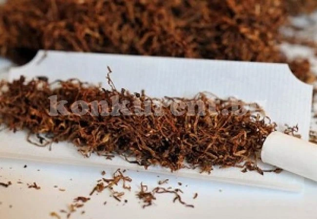 Млада жена къта тютюн без акциз