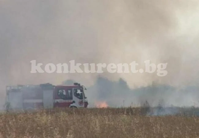 Пожарникари спасиха комбайн и 2 къщи
