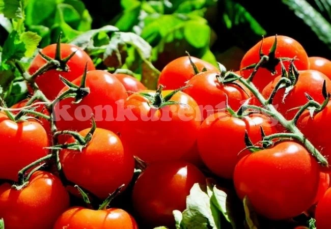 С нов закон забраняват рекламата на ГМО