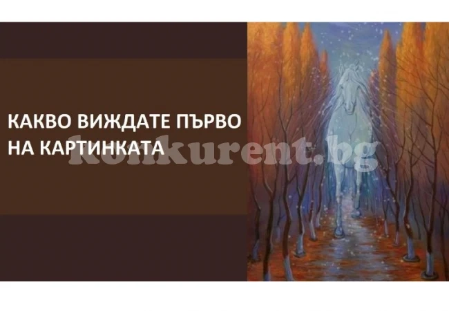 Първото, което видите на тази КАРТИНА, ще ви разкрие какво бъдеще ви очаква