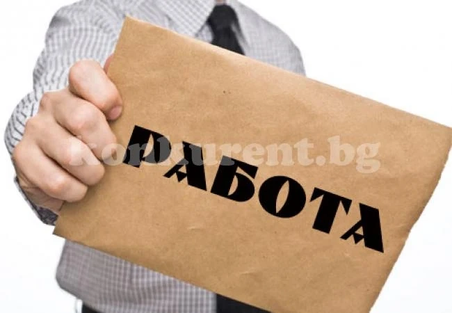 239 души в 3 общини от Врачанско почват работа по национална програма