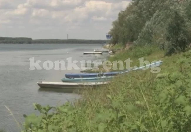 Нещо ужасно се случва на Дунавския бряг (ВИДЕО)