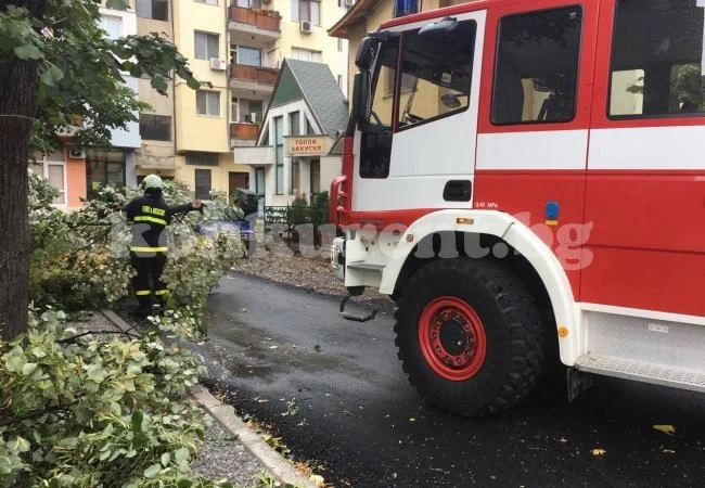 Без опасност за живота са пострадалите от бурята във Враца
