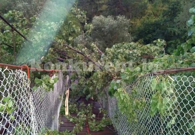 Махнаха дърво, паднало от бурята върху въжен мост