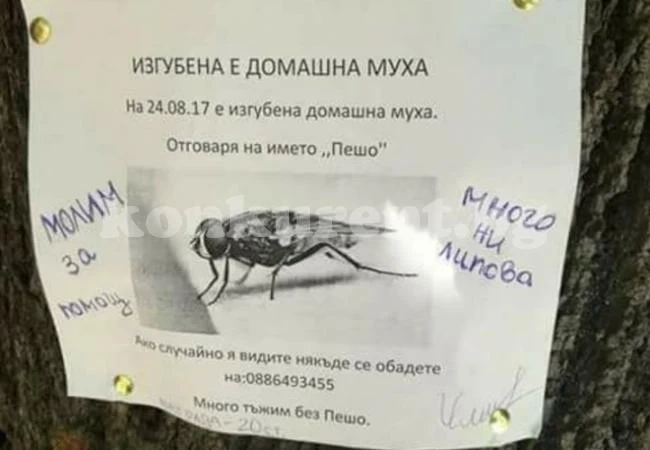 В Благоевград се сгъват от смях, когато четат тази обява, вижте я и вие