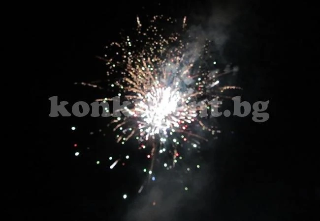 Берковица празнува