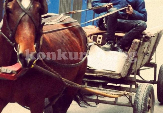 Затвор за кражба на дърва получи рецидивист