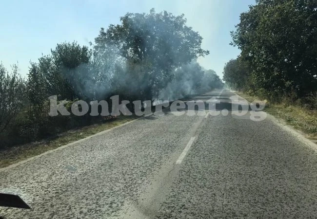 Голям пожар край пътя за Оряхово СНИМКИ