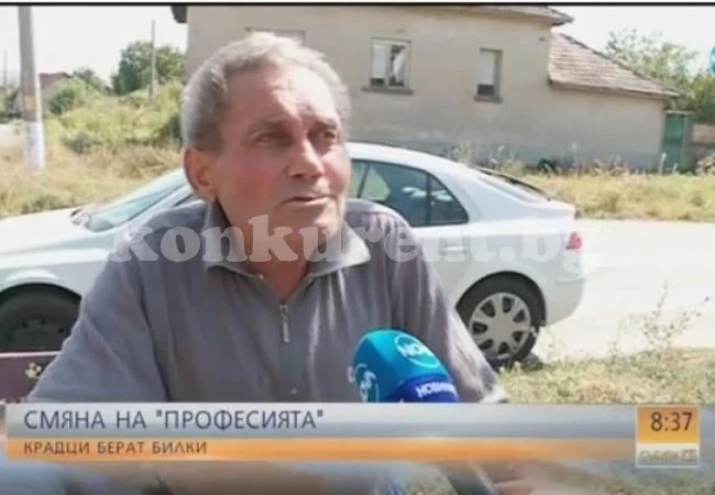 Нова страшна далавера в България: Крадци смениха професията - берат билки и... (ВИДЕО)