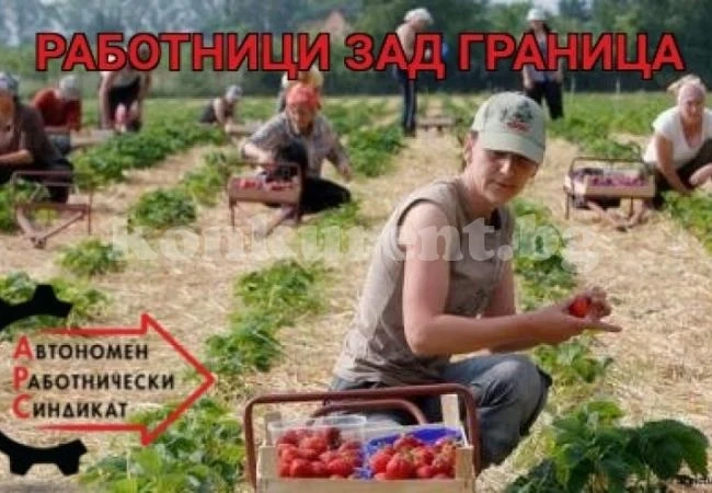 Инспекцията по труда предупреждава: Голяма тесла за българите в Чехия и Германия, Словения и Словакия