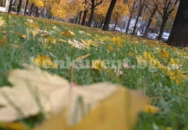 Облаци, а на много места и дъжд във вторник