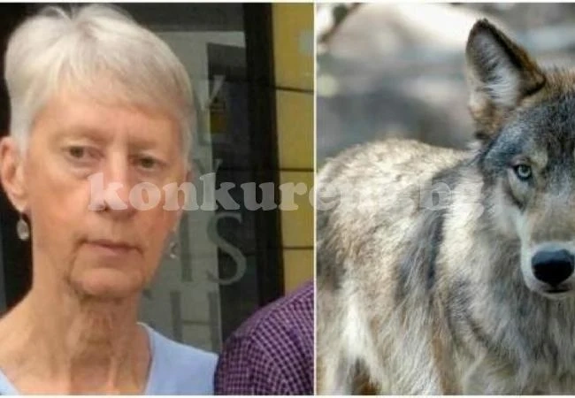 Ужасяващо! Вълци разкъсаха туристка в Гърция, още не могат да съберат частите от трупа ѝ
