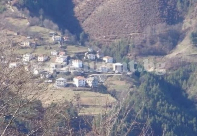 Брат откри мъртвата си сестра - гола и измръзнала в дере