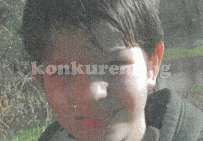Момче веган на 12 години се самоуби, след като гамени го замеряли с месо