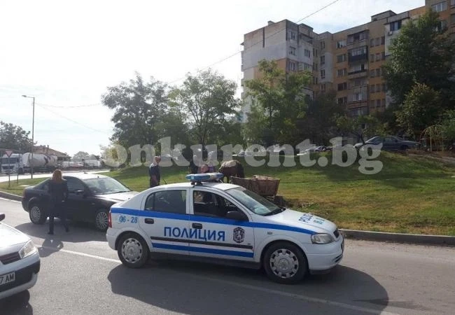 Конфискуваха още коне и каруци СНИМКИ