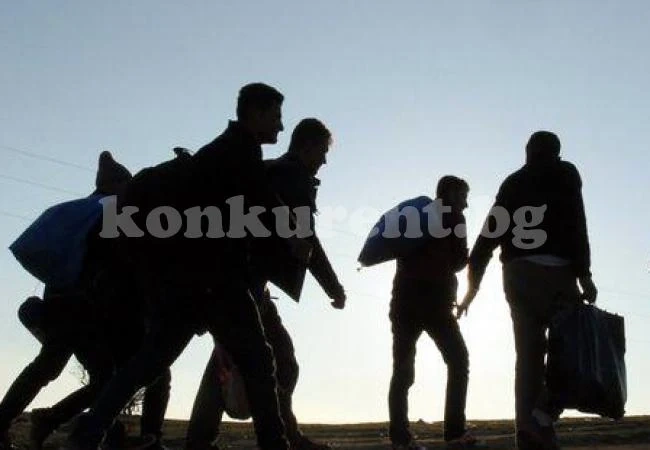 След акция на ДАНС в ареста са и видински каналджии