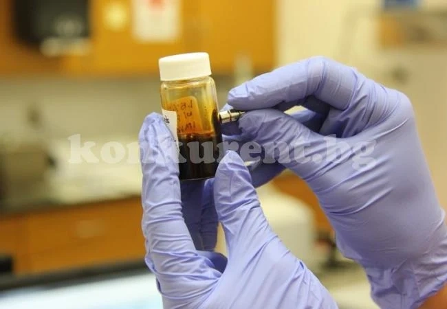 Учени твърдят: Кръв от бременна жена убива мъжете