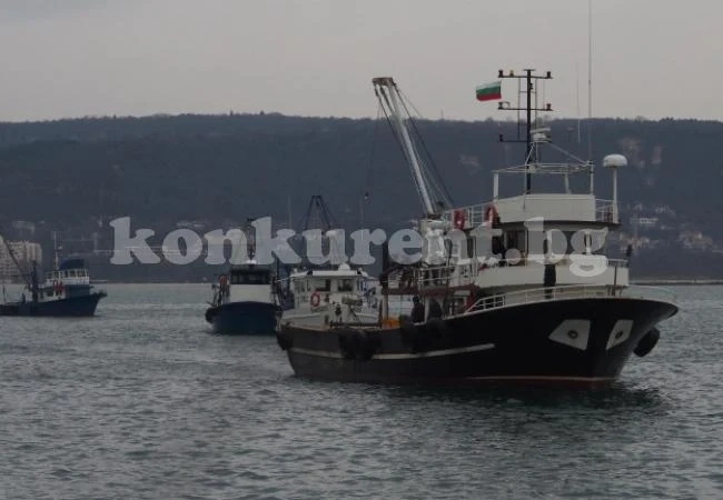 България и Румъния могат да улавят с 32% повече калкан в Черно море от 2018 г.