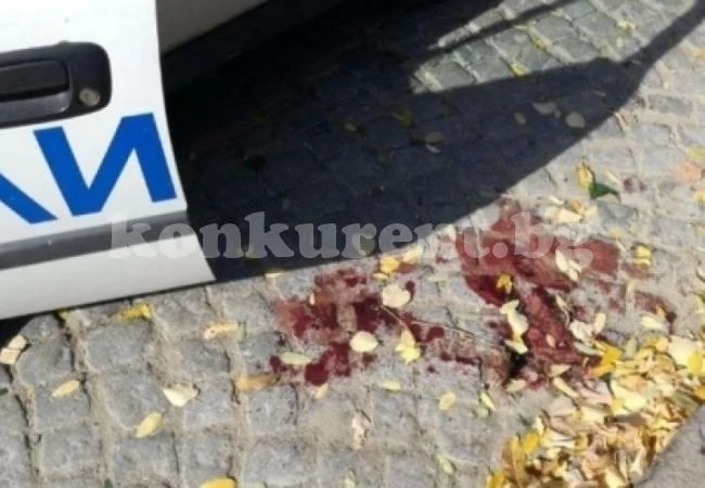 Стана ясно какво е провокирало зверското ромско меле, завършило с два трупа