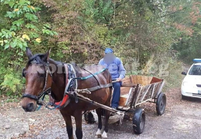 Конфискуваха кон и каруца