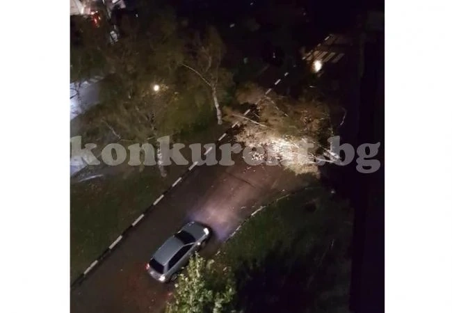 Възстановяват щетите от силния вятър в Мездра