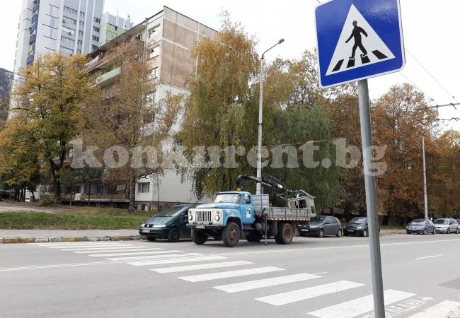 Слагат коледно-новогодишната украса