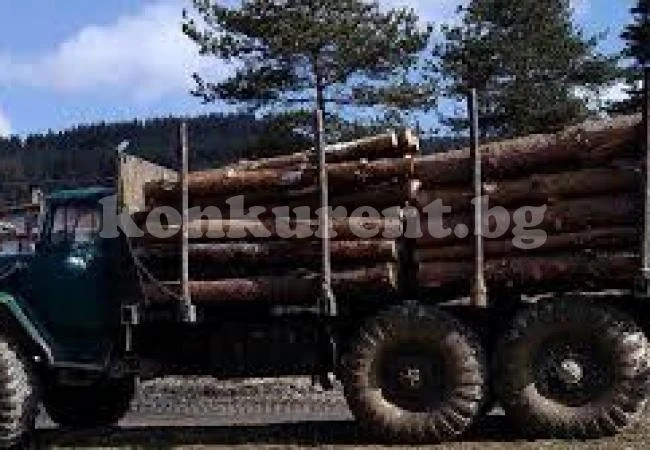 Разпродават на търг имущество на бракониери
