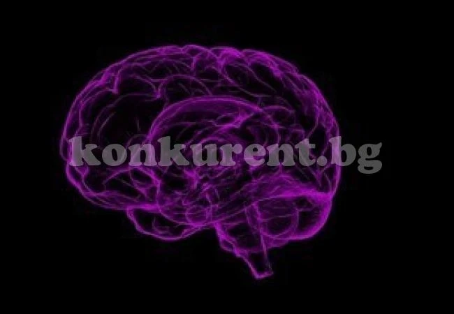 Хирурзи за пръв път въведоха имплант в човешкия мозък, променящ настроението