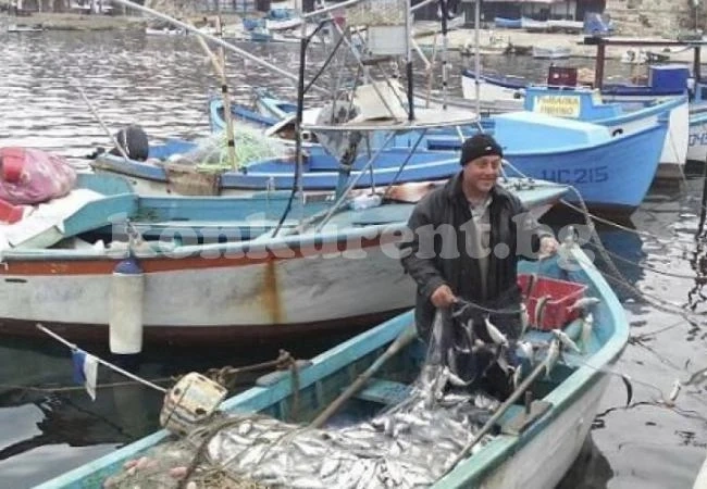 Морето не дава риба за Никулден, риболовците правят празничния курбан със...