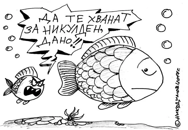 Пожелание